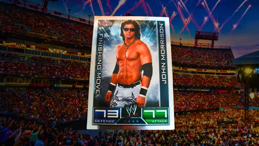 Original Wrestling Sammelkarte 2008–2009 – Sammlerset (privater Weiterverkauf)